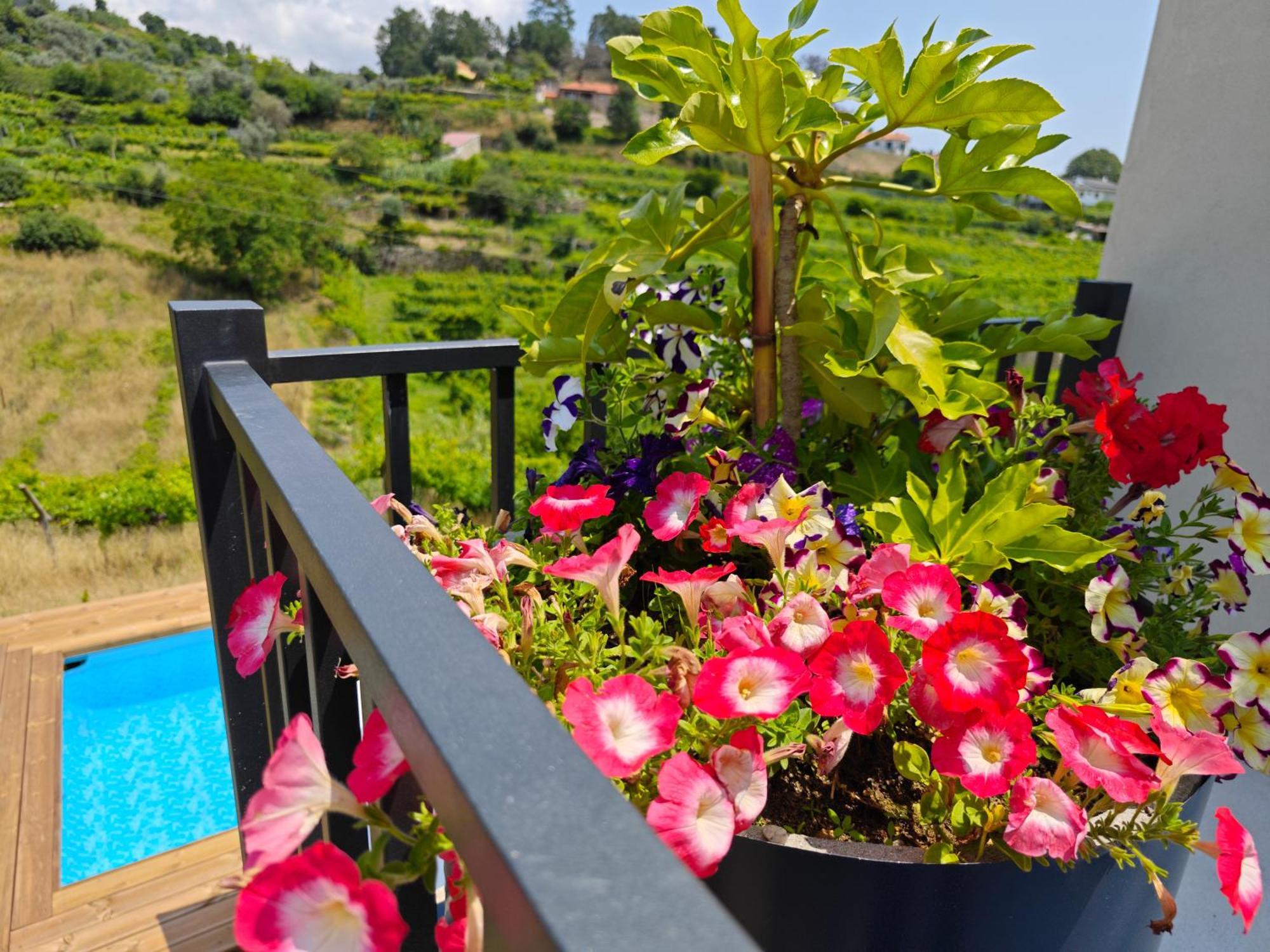 Casa Da Milinha - Villa With A Pool Near Rio Douro Santa Cruz do Douro エクステリア 写真