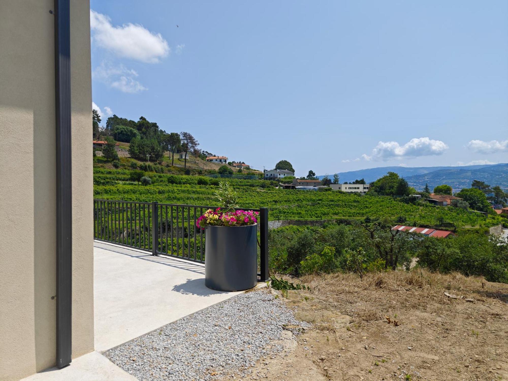 Casa Da Milinha - Villa With A Pool Near Rio Douro Santa Cruz do Douro エクステリア 写真